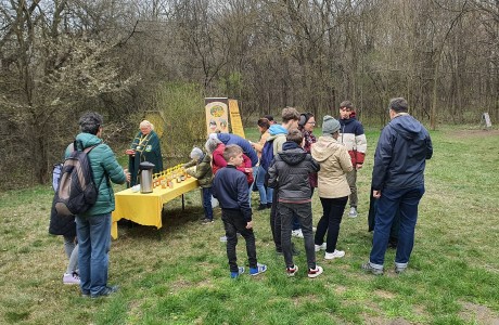 Vadvasárnap a Beporzók napján a Sóstó Természetvédelmi Területen