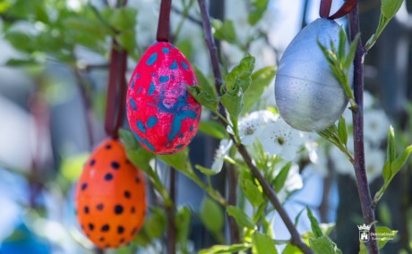 Húsvétváró programok Csalán, Kisfaludon, Feketehegy-Szárazréten és a Vízivárosban