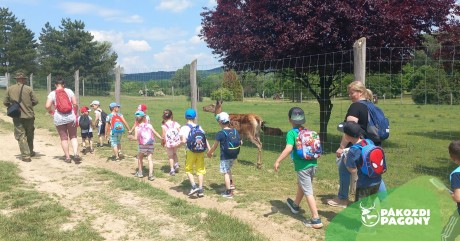 Nyári tábor a Pákozdi Pagonyban – március 29-ig lehet kedvezményesen jelentkezni