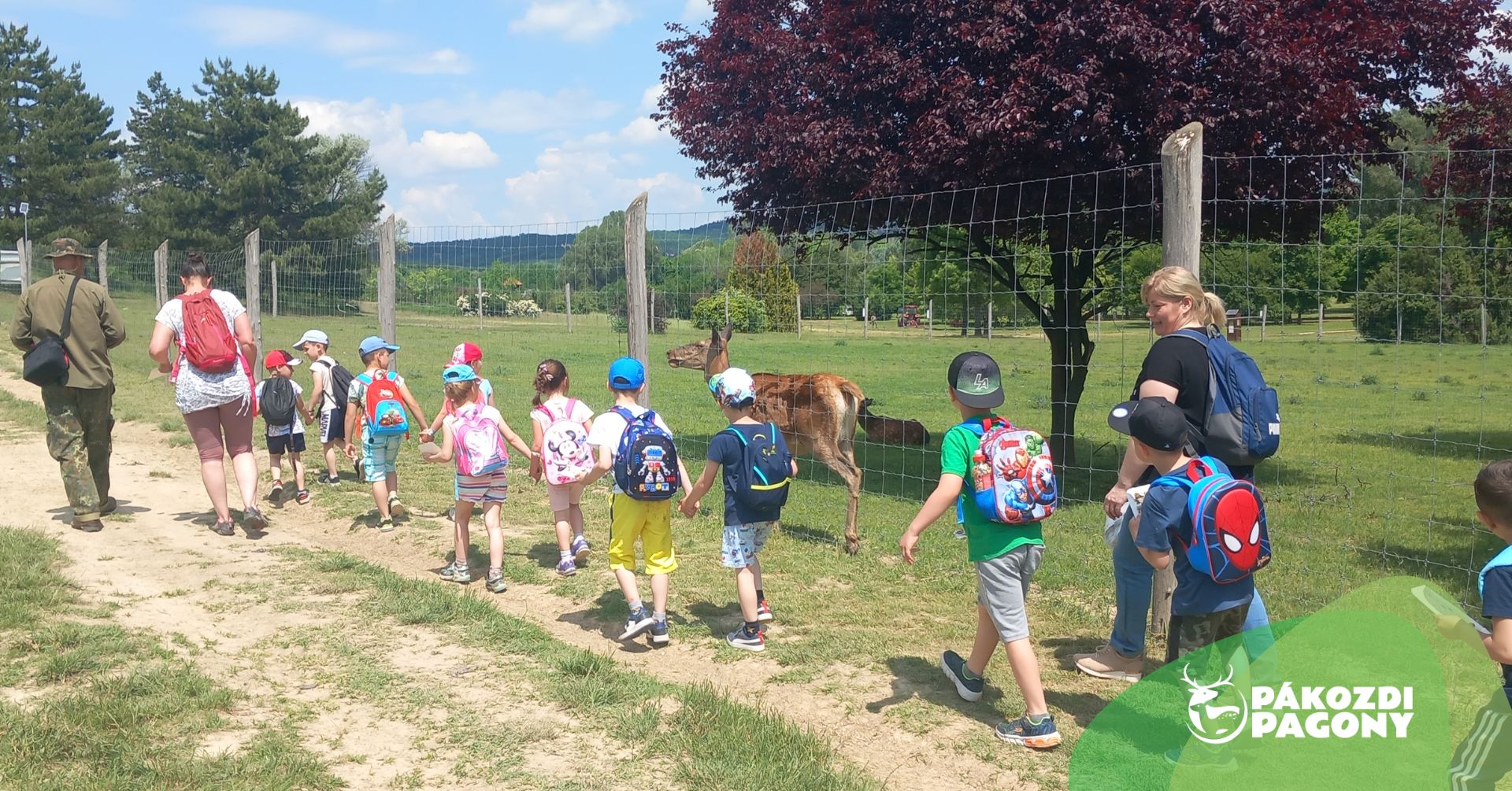Nyári tábor a Pákozdi Pagonyban – március 29-ig lehet kedvezményesen jelentkezni