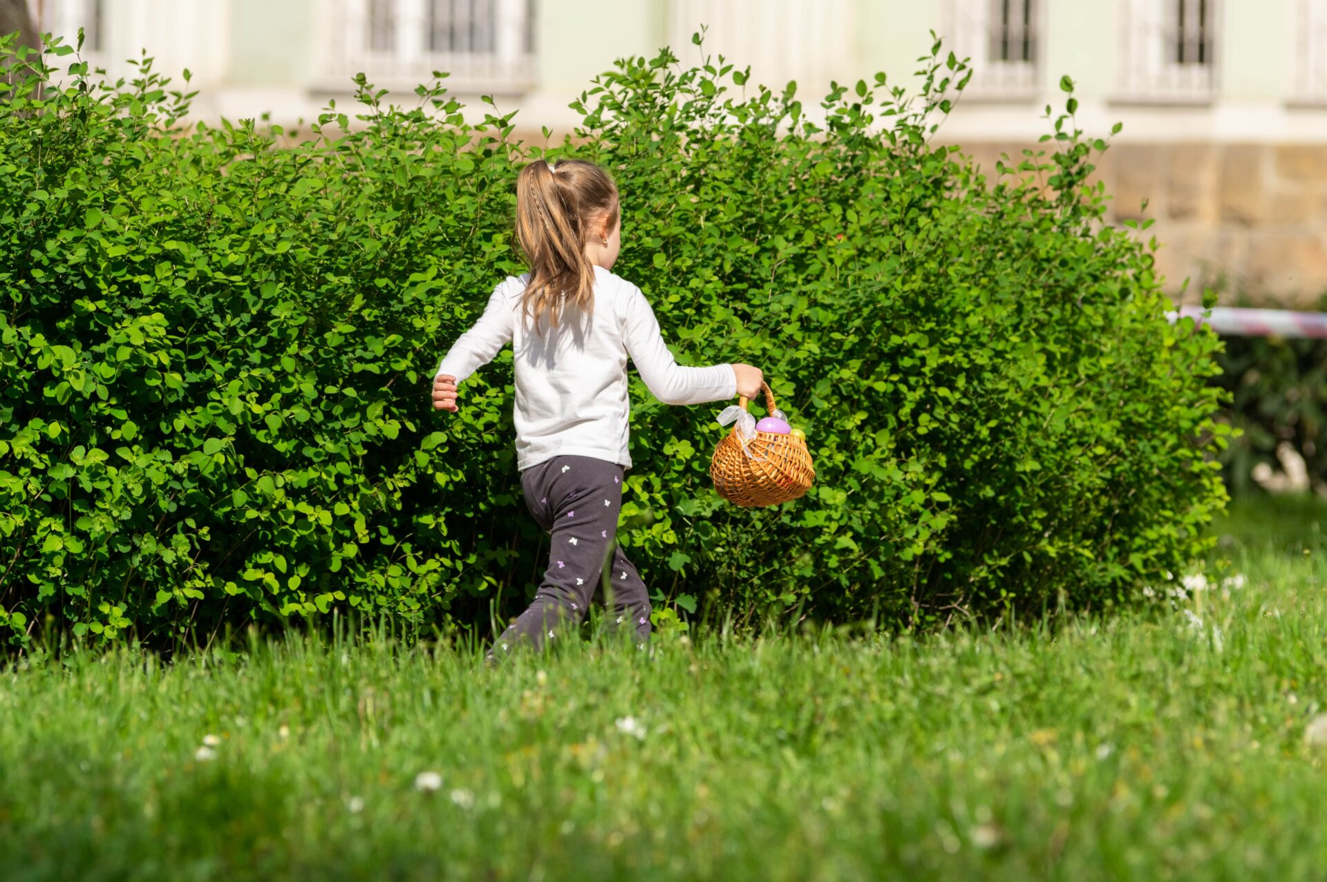 Húsvéti tojáskereső versenyt rendeznek szombaton a Zichy ligetben