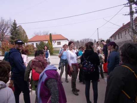 Tavaszi gyógynövények gyűjtésével Csalán folytatódnak a Herbarius túrák