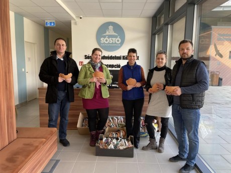 Folytatódik a Fecskebarát Fehérvár program – a Gárdonyi Géza Művházhoz telepítettek új fészkeket