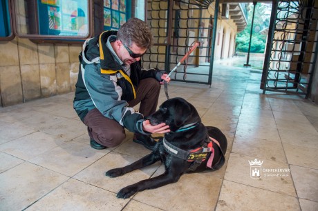 Belvárosi sétát szervez a LÁRKE a vakvezetőkutyák világnapján