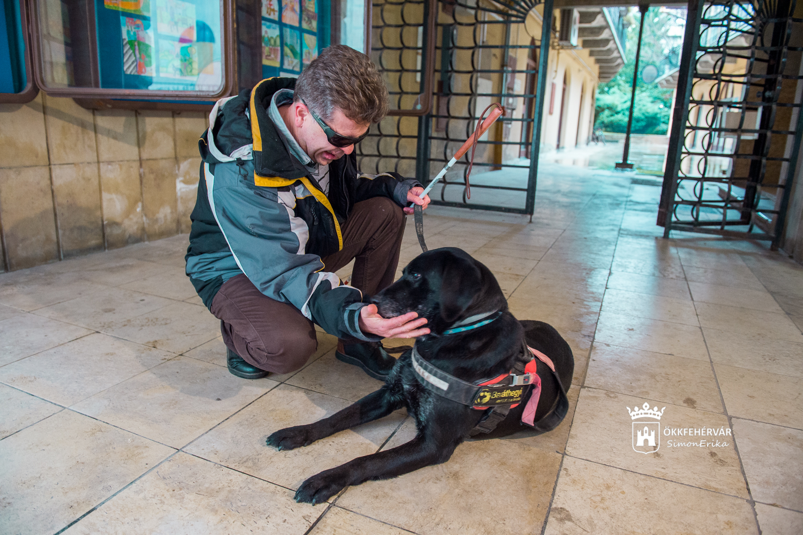Belvárosi sétát szervez a LÁRKE a vakvezetőkutyák világnapján