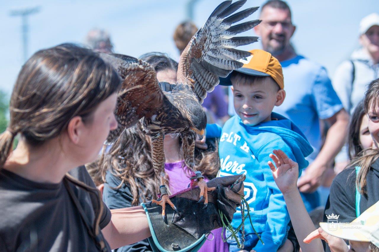 Ötéves születésnapját ünnepelte a Sóstó Látogatóközpont