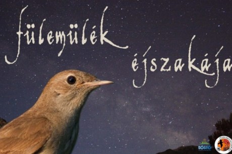 Fülemülék éjszakája – különleges programra készülnek csütörtökön a Sóstón
