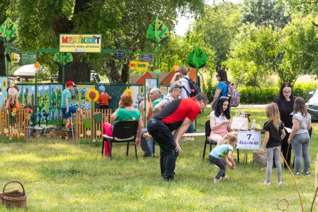 VIII. Maroshegyi Családi Mesenap és városrészi piknik az M. Tóth István téren