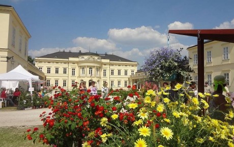 Hétvégén lesz az Európai Dísznövény és Kertművészeti Napok a Károlyi kastélyban