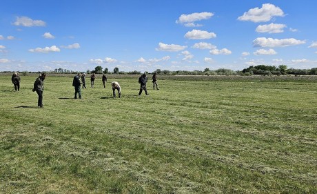 Fokozottan védett - ürgéket számolt a Duna-Ipoly Nemzeti Park Börgöndön