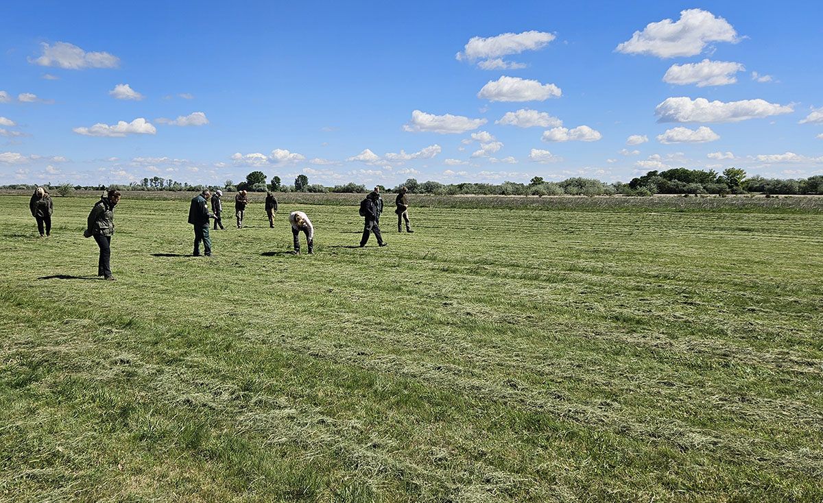Fokozottan védett - ürgéket számolt a Duna-Ipoly Nemzeti Park Börgöndön