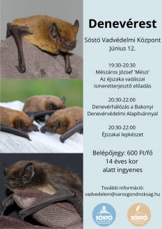 Denevérest lesz a Sóstói Vadvédelmi Központban június 12-én