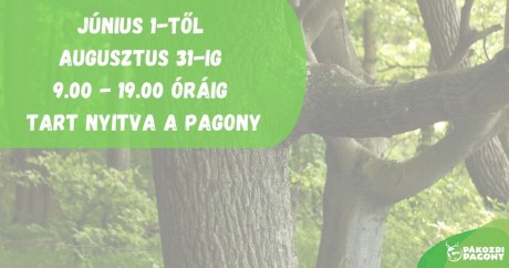 Nyár végéig meghosszabbított nyitvatartással várja a látogatókat a Pákozdi Arborétum