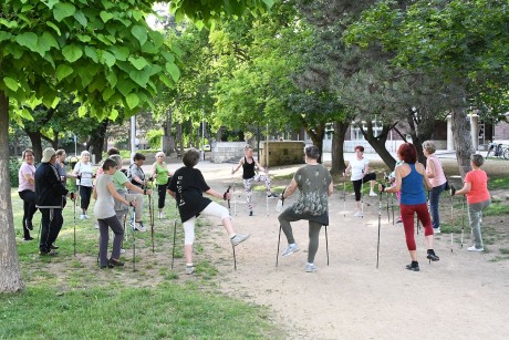 Öreghegyen és a Palotavárosban lesznek nordic walking foglalkozások júliusban és augusztusban