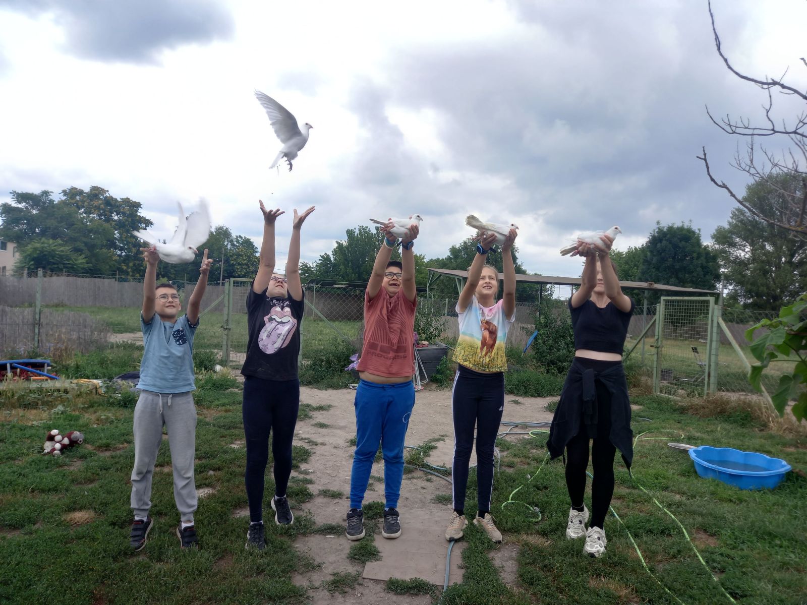 Izgalmas és hasznos ismeretterjesztéssel zajlik idén is a HEROSZ Állatotthon napközis tábora