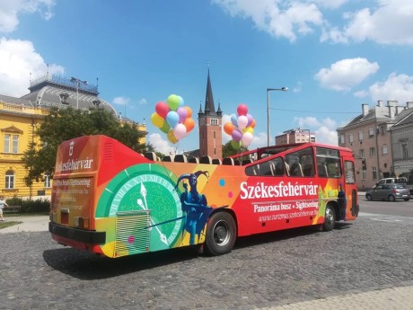 Panorámabuszos kirándulások indulnak az Alba Arénához júliusi és augusztusi szombatokon