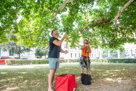A fehérvári születésű Nagy Gábor a Famászó Eb legjobb önkéntese