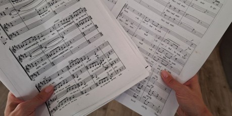 Kottamentő akciót hirdetett a Tálos Edit Alapítvány