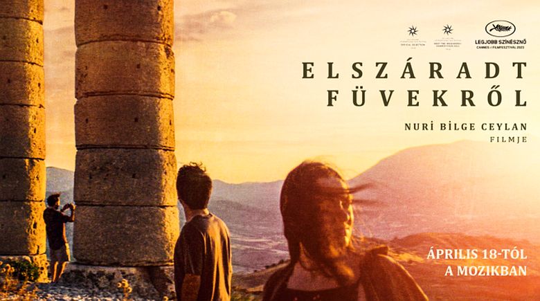 Barátság mozi - a hűs vetítőteremben és kertmozival is várják a filmnézőket