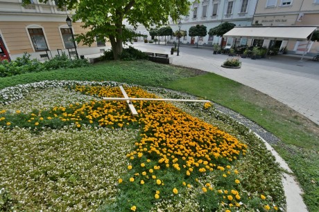 A Virágóra egynyári növényei sem bírják az extrém hőséget