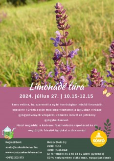 Limonádé túra a Sóstón – frissítő italok készítéséről tanulhatunk július 27-én