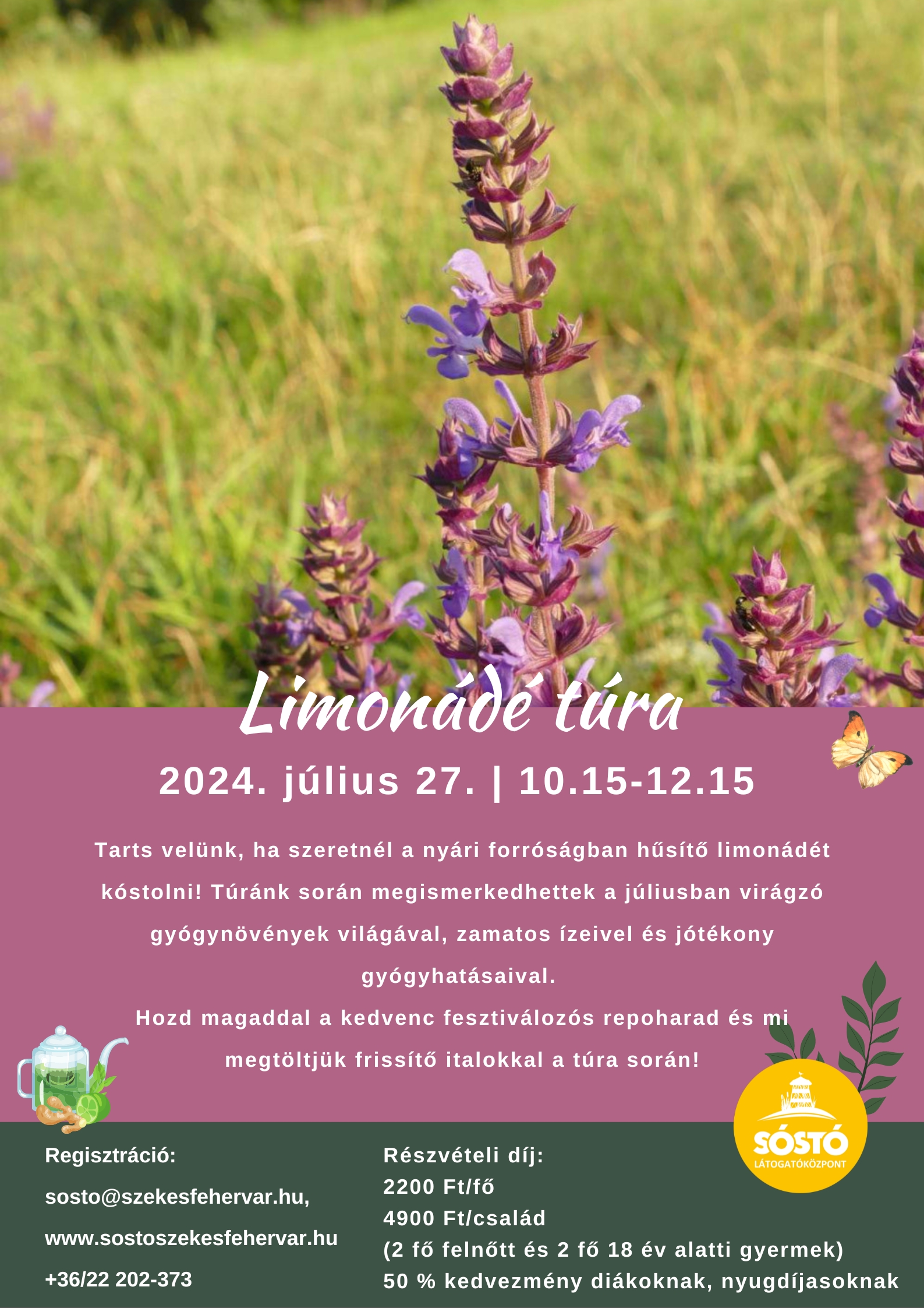 Limonádé túra a Sóstón – frissítő italok készítéséről tanulhatunk július 27-én