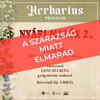 Kiszáradtak a gyógynövények - elmarad a vasárnapi Herbarius-túra