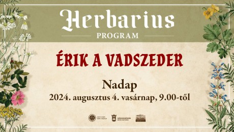 Érik a vadszeder - gyógynövénygyűjtő túra lesz Nadapon