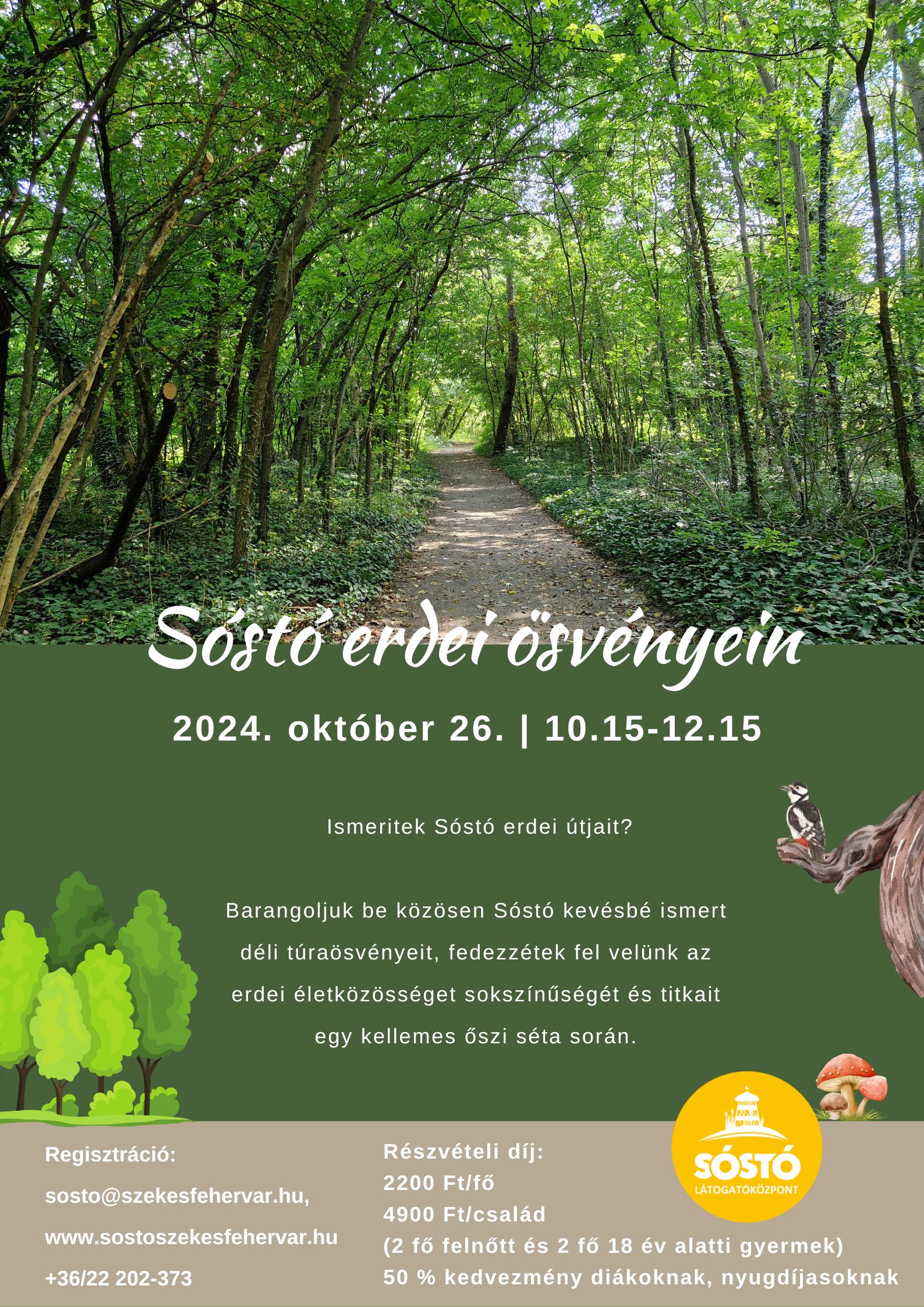 Barangolások és az éjszaka hangjai a Sóstón – folytatódnak a közkedvelt ismeretterjesztő túrák