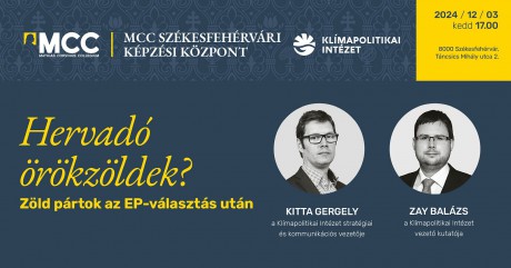 Zöld pártok az EP-választás után - előadás az MCC Székesfehérvári Képzési Központjában
