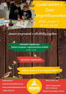 Családi nappal, Vadvasárnappal és stadiontúrával indítják az újévet a Sóstón