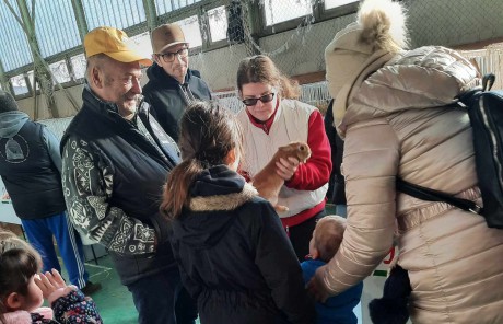 Vasárnapi élmények a kisállatkiállításon a gyermekotthon kicsi lakóival