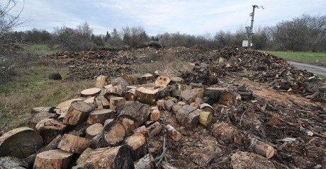 Évi ötvenezer forintos támogatást igényelhetnek a fával fűtő, rászoruló székesfehérváriak
