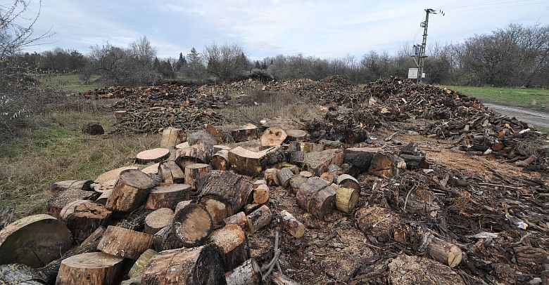 Évi ötvenezer forintos támogatást igényelhetnek a fával fűtő, rászoruló székesfehérváriak
