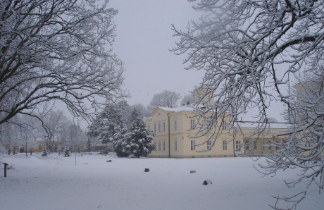 Botanikai séta a Károlyi Kastély parkjában vasárnap Fehérvárcsurgón