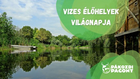 Vizes élőhelyek világnapja – kétnapos programsorozat a Pákozdi Pagonyban