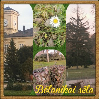 Február 16-án, vasárnap is lesz ismeretterjesztő botanikai séta a Károlyi Kastély parkjában