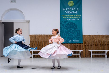 Közel 70 produkció, és több mint 100 táncos a XIII. Mezőföld Virágai szólótáncversenyen