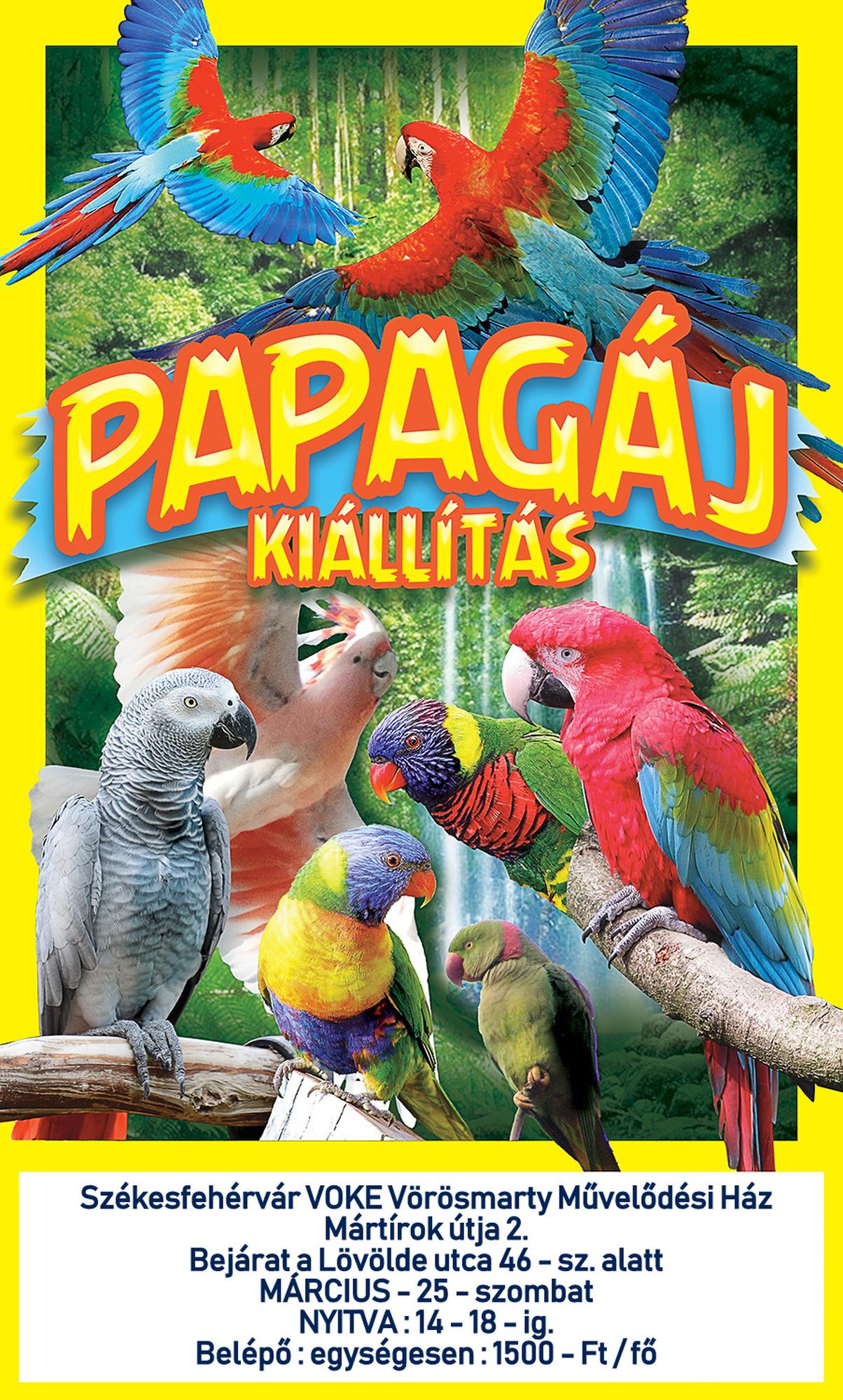 Színpompás papagájok kiállítása szombaton a VOKE Művelődési Házban