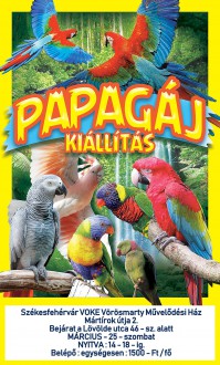 Színpompás papagájok kiállítása szombaton a VOKE Művelődési Házban
