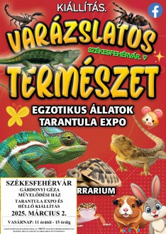Egzotikus állatok kiállítása vasárnap a Gárdonyi Géza Művelődési Házban