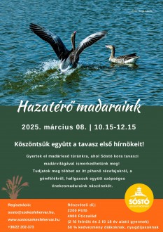 Hazatérő madaraink és mérgező növények a Sóstón – újabb ökotúrák a város zöld szívében