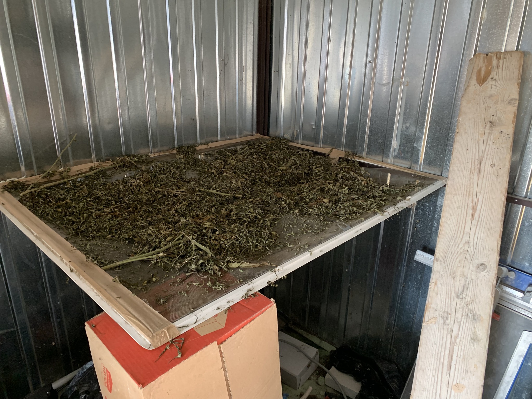 DELTA program - kábítószerterjesztőkre fókuszálnak a Fejér vármegyei zsaruk