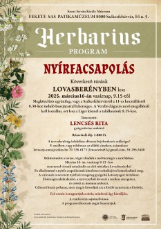 A nyírfacsapolás titkai - vasárnap indul az idei Herbarius túra programsorozat