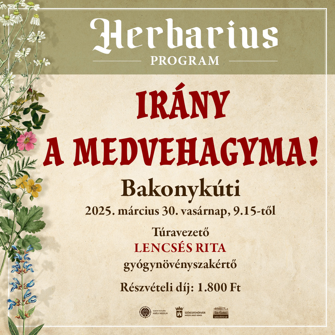 Medvehagymagyűjtő túra lesz vasárnap a Burok-völgyben