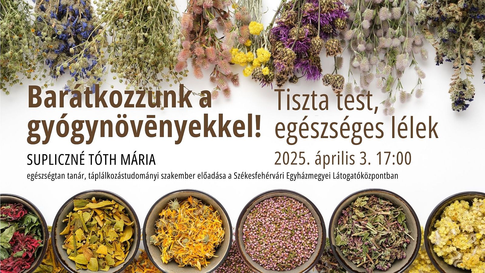 Kezdődik a Barátkozzunk a gyógynövényekkel sorozat tavaszi idénye