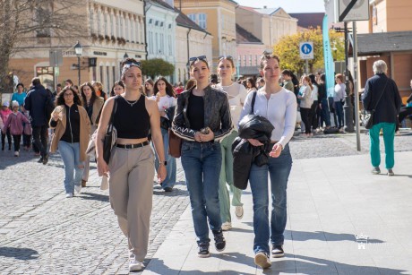 Szórakozás és tájékozódás - Szakmák Utcája Fehérvár Belvárosában
