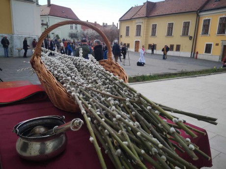 Virágvasárnapi szentmise lesz a Székesegyházban barkaszenteléssel