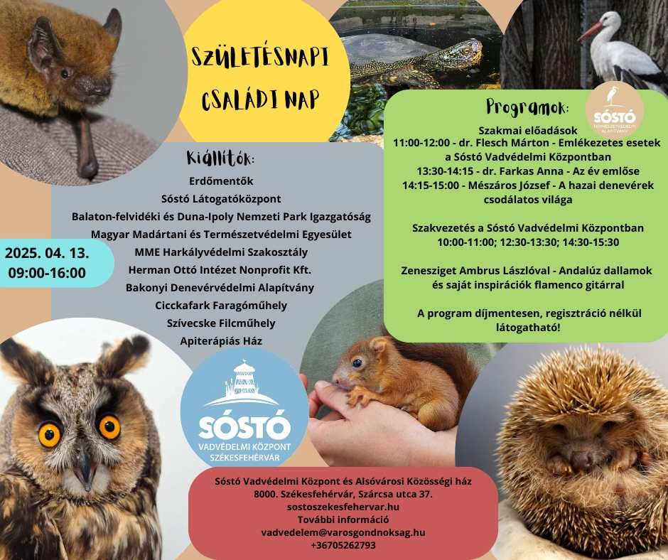 Nyílt nappal ünnepli 3. születésnapját a Sóstó Vadvédelmi Központ