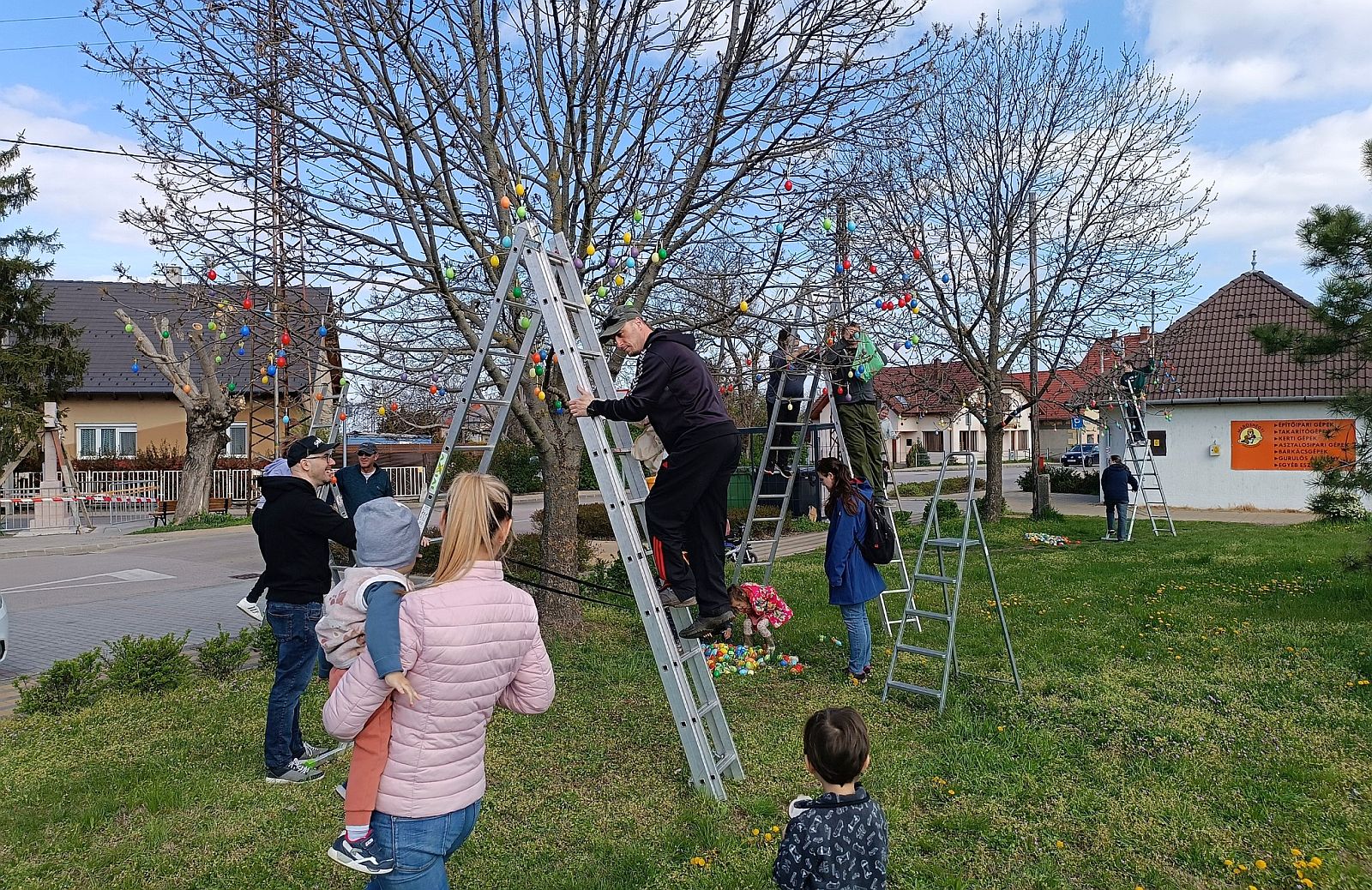 Tojásdíszbe öltöztették idén is a maroshegyi fákat Fehérváron